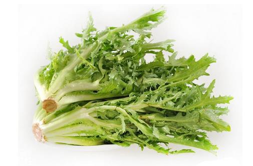 苦菊小孩能吃吗?小孩吃苦菊促进脑部发育 苦菊小孩能吃吗?小孩吃苦菊促进脑部发育