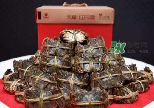 红印蟹是什么_红印蟹哪里买_红印蟹什么时候上市