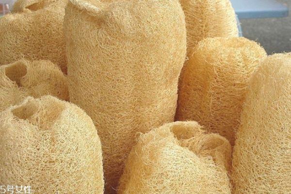 干丝瓜的功效与作用 干丝瓜煮水的功效