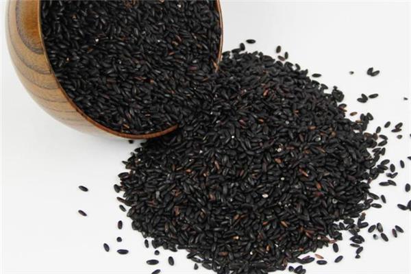 黑米小孩能吃吗 黑米多大宝宝能吃 黑米小孩能吃吗 黑米多大宝宝能吃