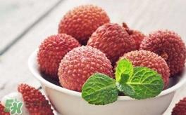 白糖罂和妃子笑哪个好吃?妃子笑和白糖罂的区别 白糖罂和妃子笑哪个好吃?妃子笑和白糖罂的区别