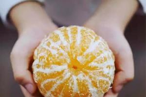 爱媛28与爱媛38的区别 爱媛42号和爱媛38区别