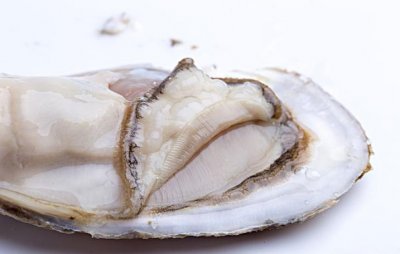 ​生蚝肉很腥是不是不新鲜 生蚝肉不白有点黄是什么原因