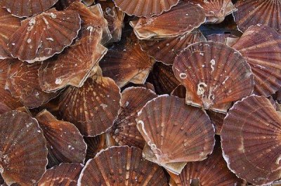 ​男性补精气吃什么食物好 吃4食物就对了