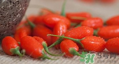 ​如何辨别枸杞是否新鲜？鲜枸杞可以直接食用吗