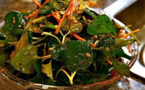 鱼腥草根和叶哪个好？鱼腥草根好还是叶子好