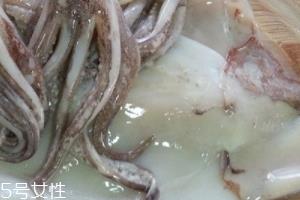 鱿鱼是乌贼吗?鱿鱼跟乌贼是一种吗? 鱿鱼是乌贼吗?鱿鱼跟乌贼是一种吗?