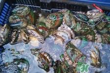 吃鲍鱼要注意些什么?吃鲍鱼会过敏吗? 吃鲍鱼要注意些什么?吃鲍鱼会过敏吗?