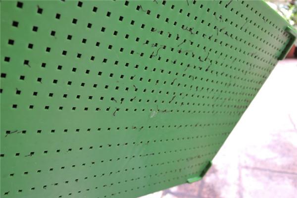 在家自制葵花籽芽方法步骤