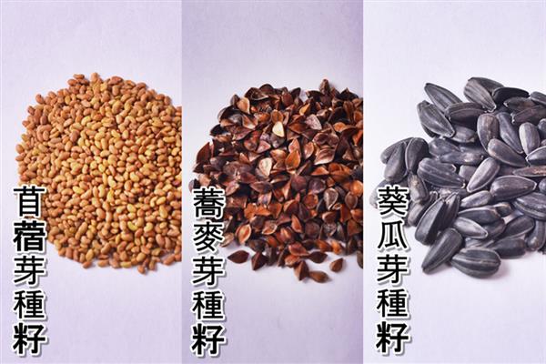 在家自制葵花籽芽方法步骤