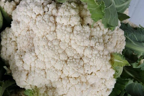 花菜和西蓝花的营养区别 花菜和什么菜搭配好吃