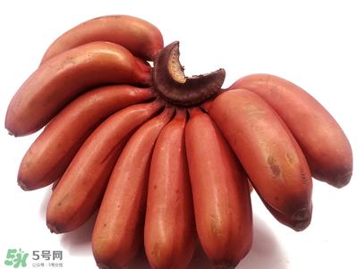 红香蕉好吃吗？红香蕉味道怎么样？