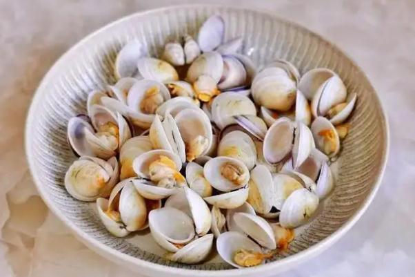 蛤蜊的功效与作用 蛤蜊怎么去泥沙