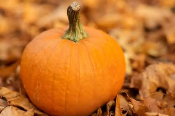 南瓜是碳水吗 南瓜要蒸多久