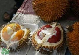 红心榴莲多少钱一斤?红心榴莲为什么这么贵? 红心榴莲多少钱一斤?红心榴莲为什么这么贵?