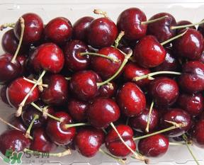 车厘子老人可以吃吗?老人可以吃车厘子吗? 车厘子老人可以吃吗?老人可以吃车厘子吗?