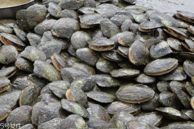 ​河蚌能和牛肉一起吃吗 这个搭配没毛病