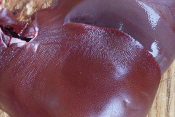 猪肝怎么煮 教你做猪肝汤