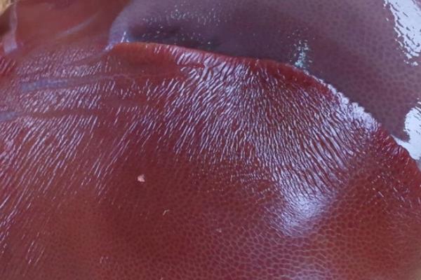 猪肝怎么煮 教你做猪肝汤