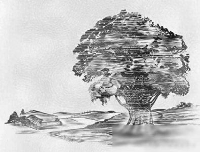 ​“独立思考”不是“特立独行”