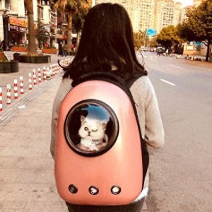 ​太空舱猫包可以上火车吗