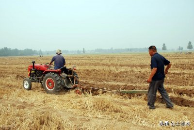 ​2022土地流转费用标准：一般多少钱一亩？