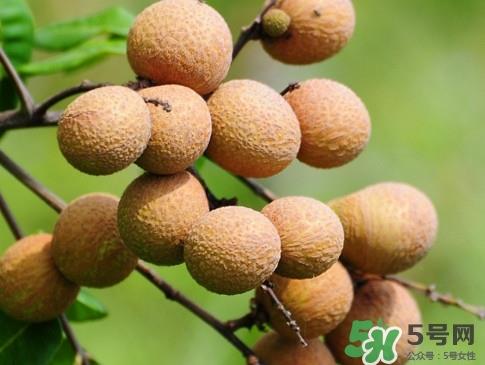 龙眼每天吃多少合适？龙眼一天最多吃几个