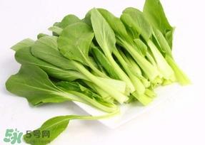 鸡毛菜怎么种?鸡毛菜的种植方法 鸡毛菜怎么种?鸡毛菜的种植方法