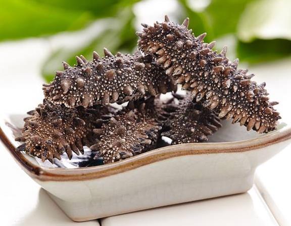 海参刺多好还是刺少好？海参没有刺是怎么回事？