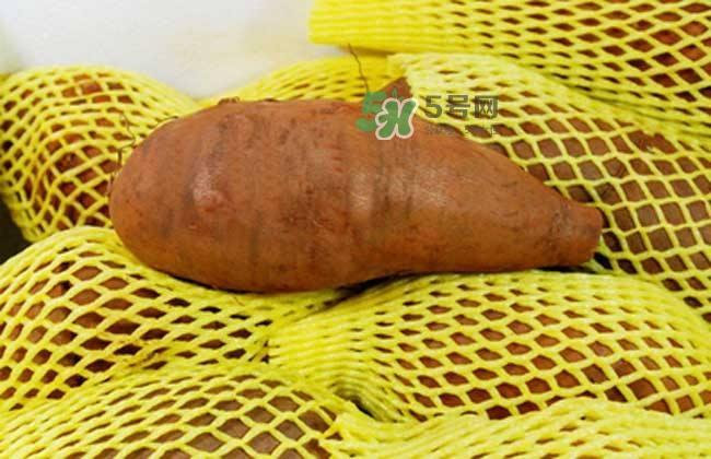 吃雪莲果放屁怎么办？雪莲果的副作用