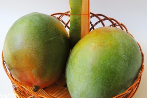 凯特芒果能放多久 这个不一定 凯特芒果能放多久 这个不一定