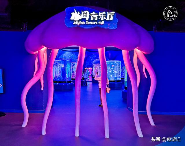 上海市海洋馆游玩（全球最大极地海洋世界落户上海）(9)