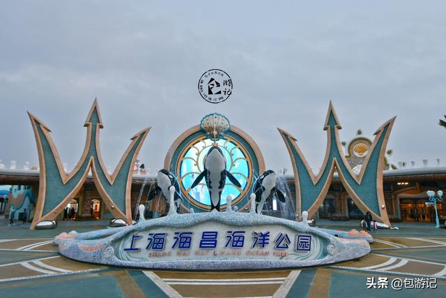 上海市海洋馆游玩（全球最大极地海洋世界落户上海）(65)