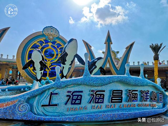 上海市海洋馆游玩（全球最大极地海洋世界落户上海）(4)