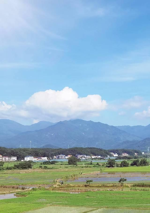 桂林旅游自由行详细攻略一日游（你与世界的距离）(38)