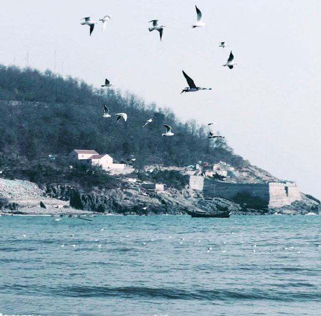 青岛黄海明珠旅游攻略（青岛有一条海滨散步道）(54)