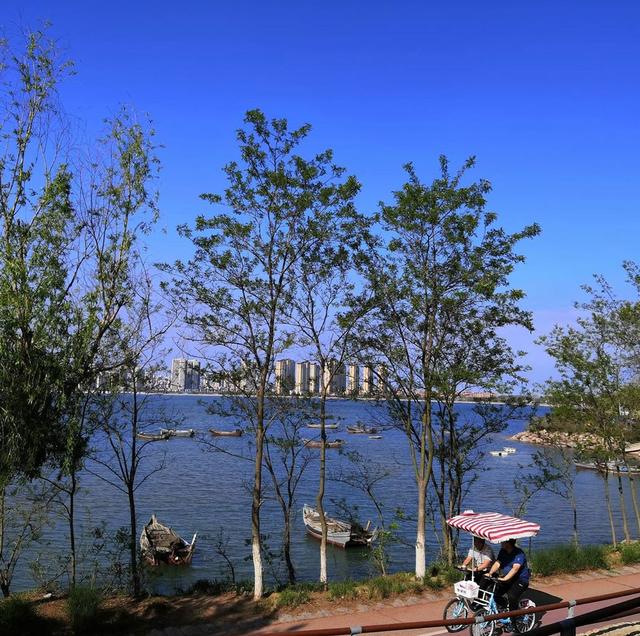 青岛黄海明珠旅游攻略（青岛有一条海滨散步道）(10)