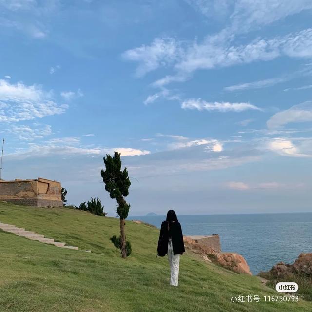 青岛黄海明珠旅游攻略（青岛有一条海滨散步道）(42)
