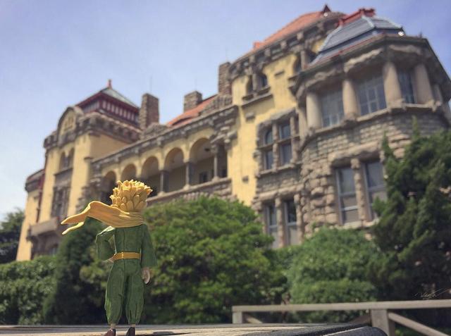 青岛黄海明珠旅游攻略（青岛有一条海滨散步道）(15)