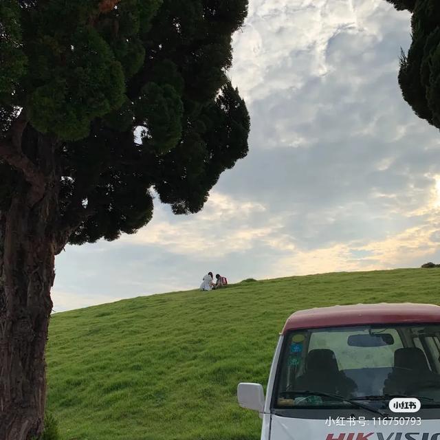 青岛黄海明珠旅游攻略（青岛有一条海滨散步道）(43)