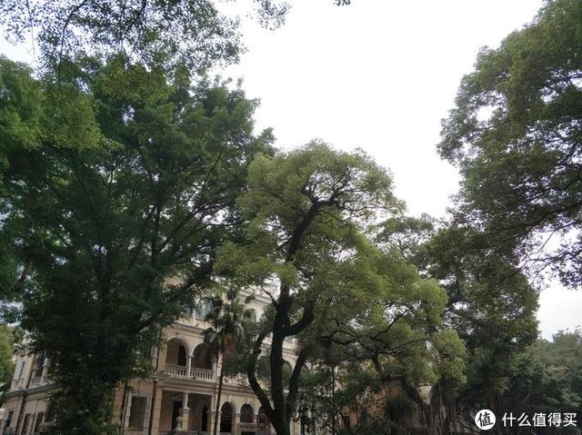 广州长隆动物园攻略一日游（一篇玩转广州长隆野生动物世界）(28)