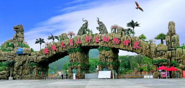 安徽旅游攻略最全最佳线路（一起游遍安徽这十条绝美线路）(32)