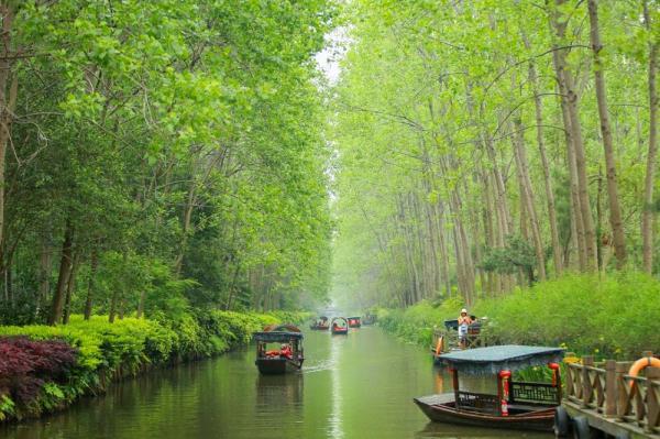 安徽旅游攻略最全最佳线路（一起游遍安徽这十条绝美线路）(17)