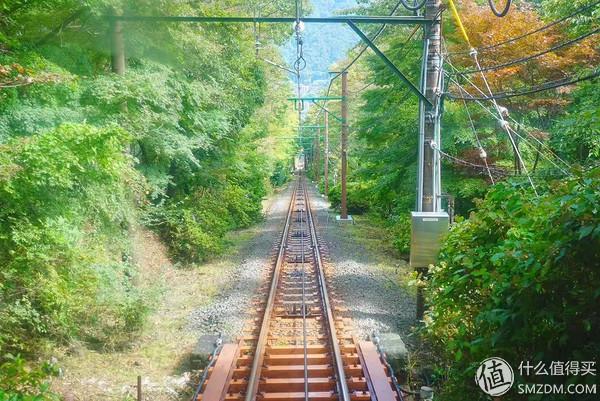 日本旅游签证新规日签(全网最良心的日本签证攻略)(8)