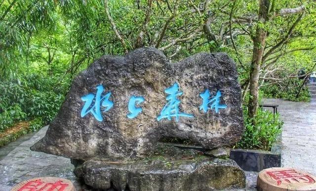 贵州荔波小七孔概述(一个惊险神奇一个玲珑秀丽)(16)