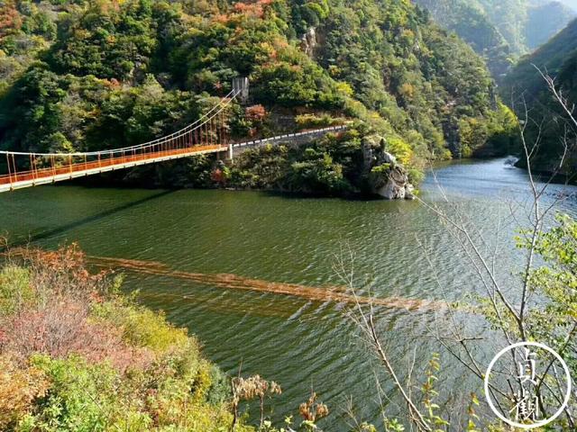 陕西秦岭108国道(108国道秦岭段秘闻)(3)