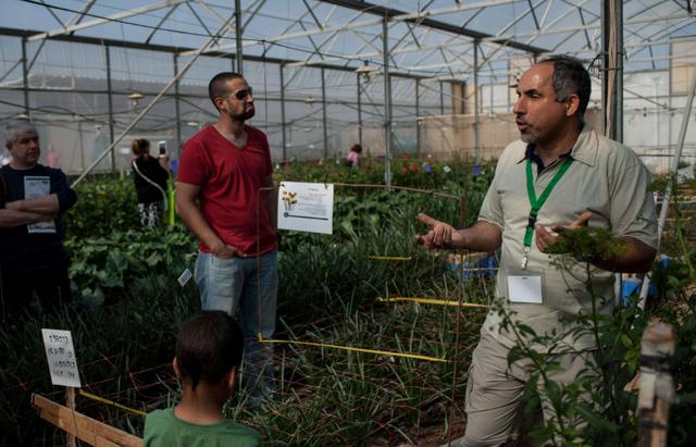 以色列大多发展什么农业（以色列农业到底多强）(6)