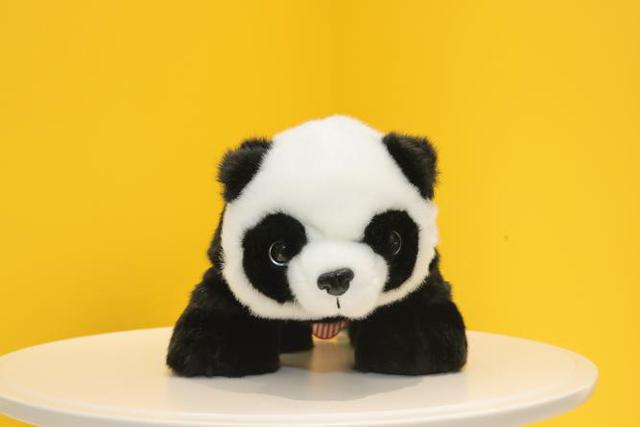 熊猫旅游全攻略（玩转天府旅游名品）(15)