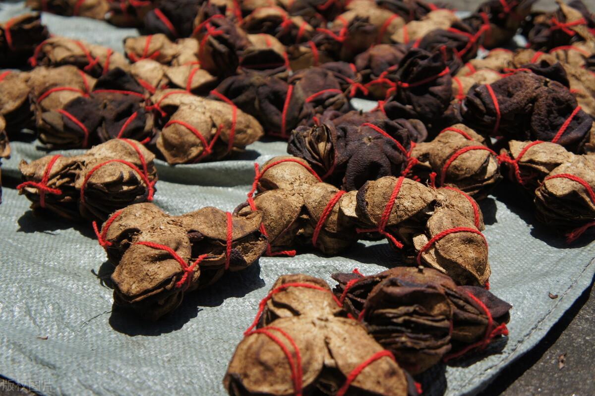 陈皮是什么水果皮制成的（正宗陈皮是什么做的）(图4)