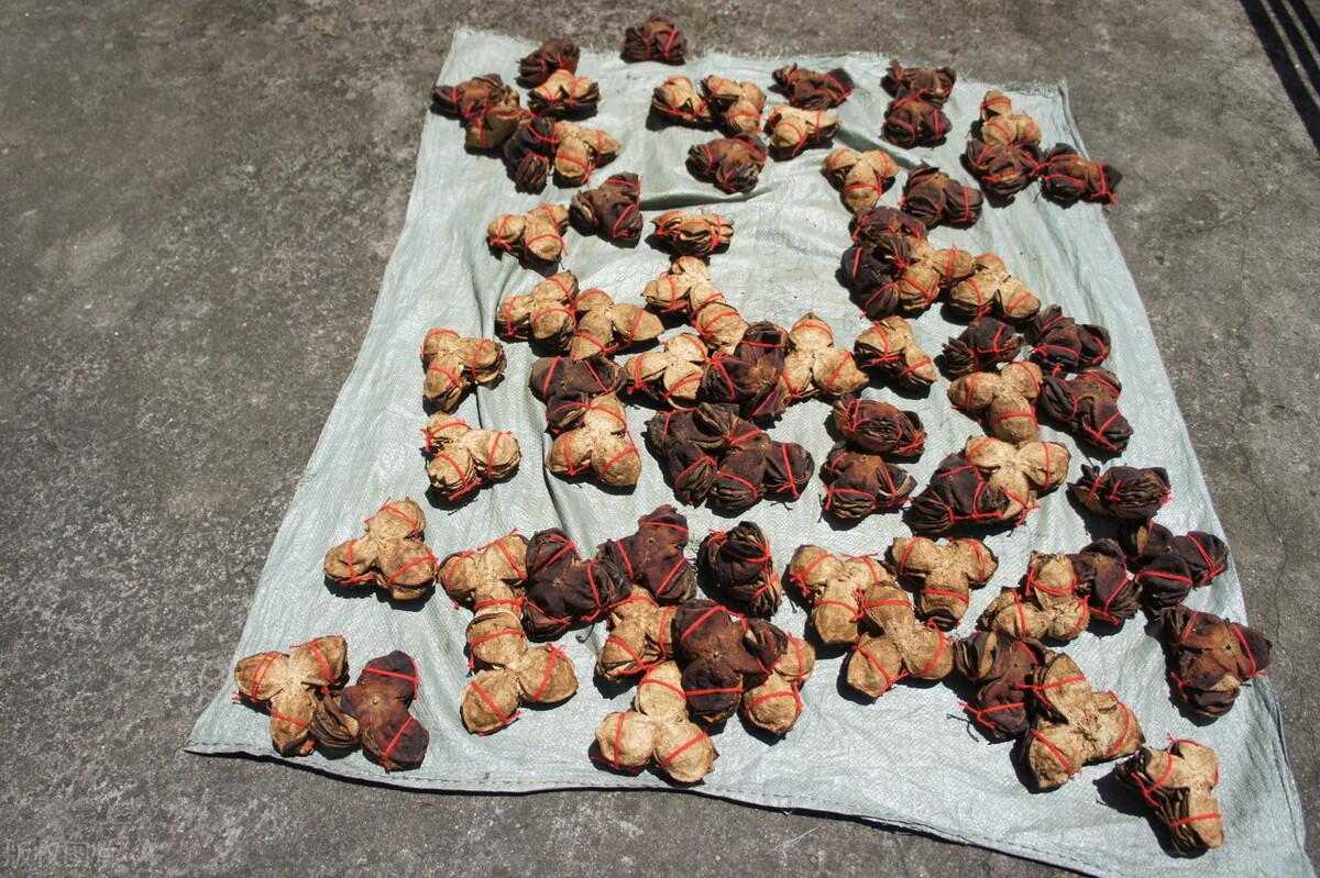 陈皮是什么水果皮制成的（正宗陈皮是什么做的）(图5)